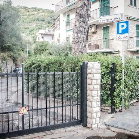 Via Prima Traversa Dell'olivo 6